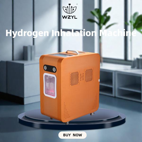 Buy Large Flow Hydrogen-absorbing Machine Anti-inflammatory 3000ml WEIZI Frequency 50Hz Flow 2000ML H2 1000ML O2 at wholesale prices