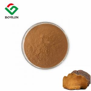 China Food Grade Phellinus Linteus Extract Polysaccharides Powder For Healthcare on sale
