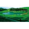 Buy cheap Golf course from wholesalers