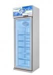 Upright Glass Door Freezer Frozen Display For Ice Cream Frozen Meat