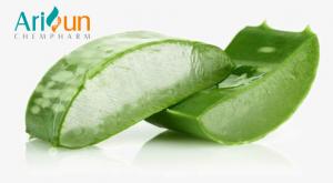 Quality CAS NO 85507-69-3 Aloe Vera Extract For Beauty And Moisturizing for sale