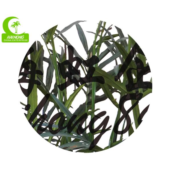 All Season Height 210cm Artificial Tropical Tree With Pot