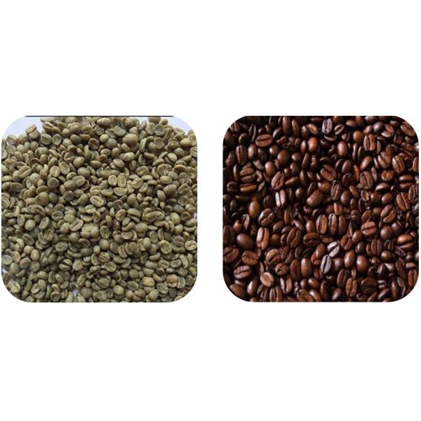 768 Channels Coffee Bean Color Sorter Machine With Altera Processor / CCD Camera