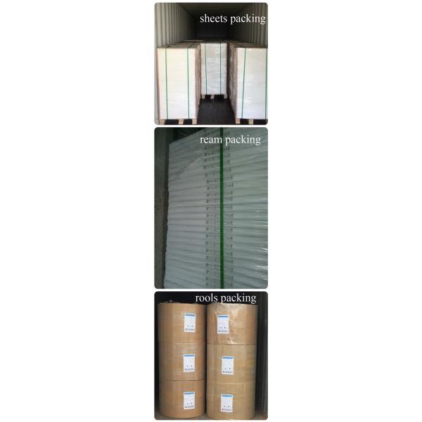 Good Ink Absorption FSC Certified Offset Paper Size Customized For Various Books