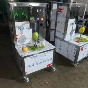 Quality industrial mango process line automatic mango pulp machine peeling and pulping machine for sale