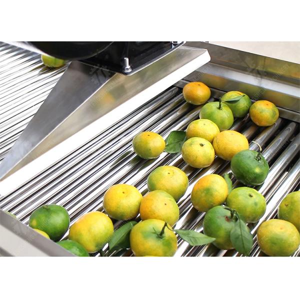 Customized Driven Pesticide Exclude Vegetable Processing Line , Centrifuging Tomato Processing Line