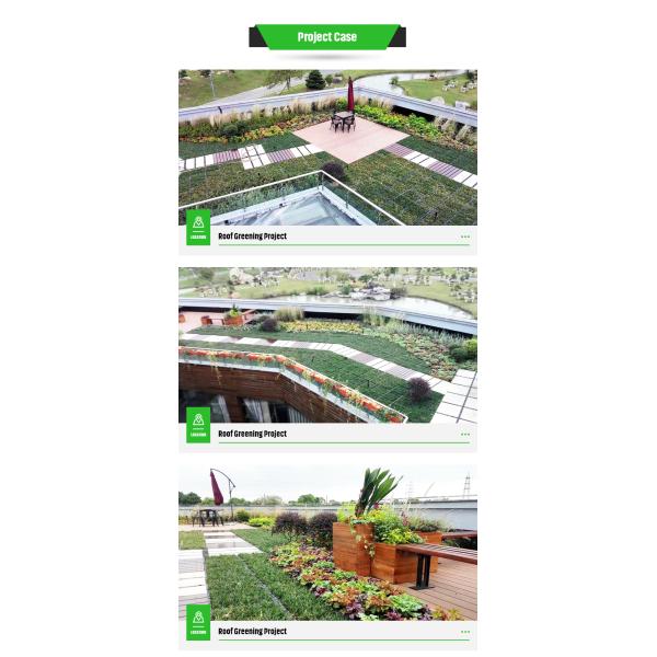 Outdoor Plant Container Roof Plastic Garden System Planter for Decorative Flower Pot