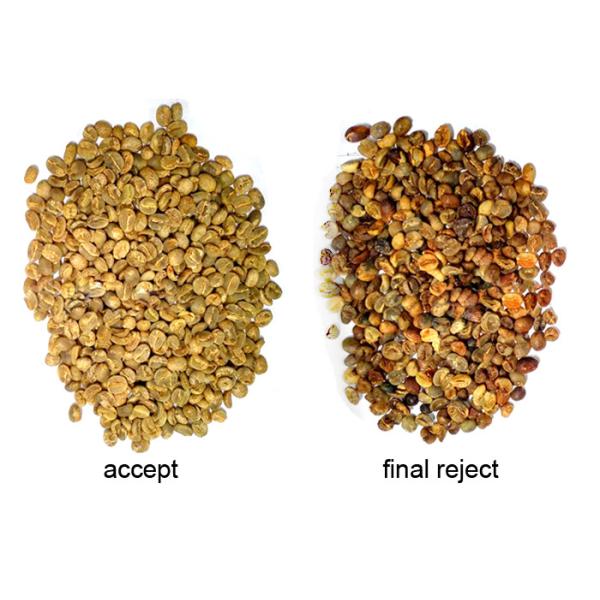 Intelligent Electronic Color Sorting Machine For Coffee Beans 1.2T/h 1.5T/h