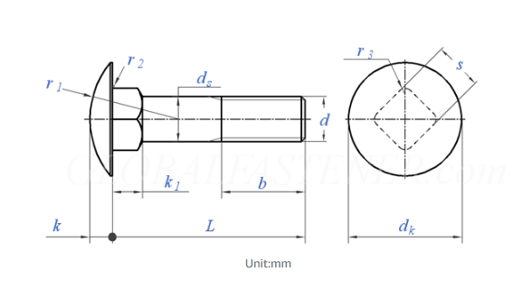 Made in China Factory Wholesale High-Quality Ss Stainless Steel DIN603 Cup Head Square Neck Bolts/Carriage Bolts