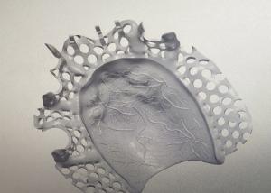 Quality CAD Design Titanium Alloy Partial Denture Metal Framework for sale