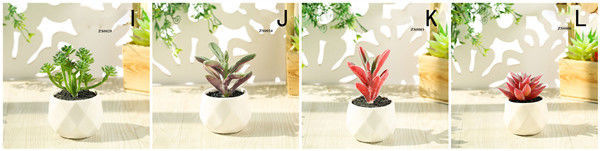 Mini Succulent Artificial Potted Plants Strange Shape Green Platsic Material