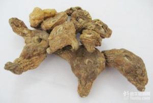 Quality Polygonatum sibiricum,dried roots,rhizome,Huang jing, herb for sale
