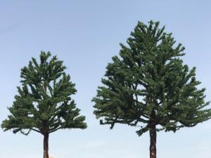 Quality Model wire Tree Mini Tree Layout Ho Model Train Design for sale