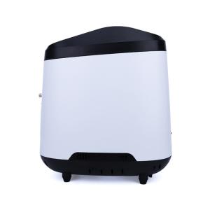 Continuously Stable And Efficient Oxygen Production Portable LCD Display Silent Medical Grade 9L Oxygen Generator