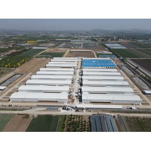 Quality Industrial Steel Structural Buildings Prefabricated Steel Poultry House Customized for sale