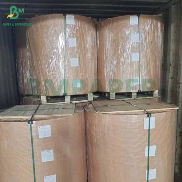 BPA Free Thermal Paper Jumbo Roll 48g - 80g for Cash Register Receipt BPA Free Thermal Paper Jumbo Roll 48g - 80g for Cash Register Receipt