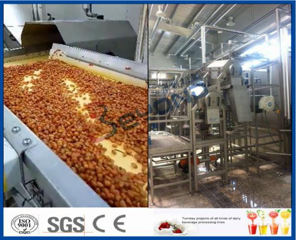 Buy Fruit Processing Plant Juice Making Machine Orange Juice Extractor With Washing / Pulping System at wholesale prices
