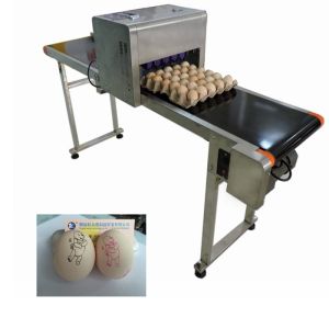 Quality Egg Automatic Batch Coding Machine Printing 120000 Characters Per Hour for sale