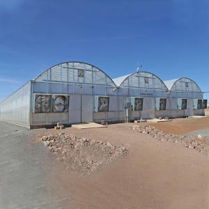 Quality Agricultural Polycarbonate Sheet Greenhouse Turnkey Project Serre Agricole Intelligent for sale