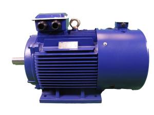 Quality 2P To 12P Variable Frequency Drive Motor High Efficiency for sale