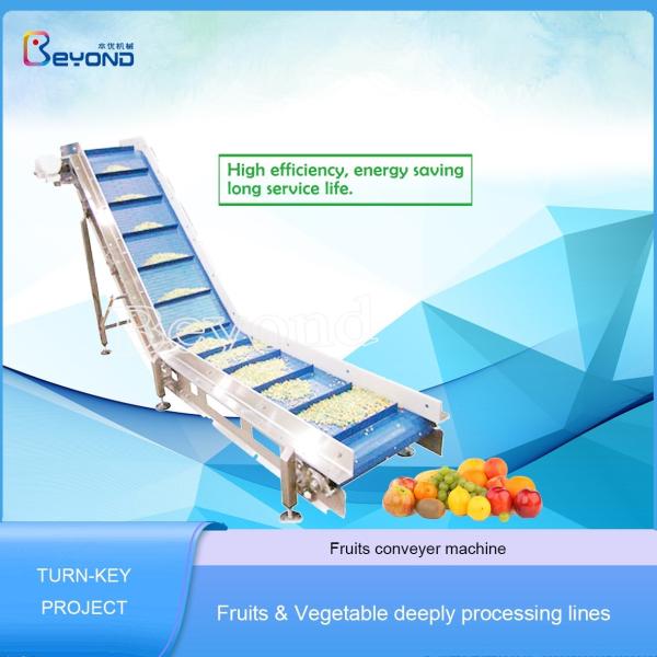 Fruit Processing Industry Fruit Conveying Machine For Juice Processing Plant