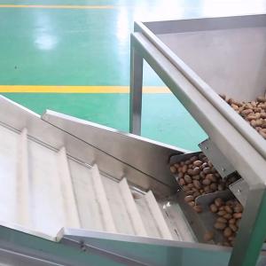 Quality 380V 8 Exits Pecan Nuts Sorting Machine CE Approved 2 Tons Capacity for sale
