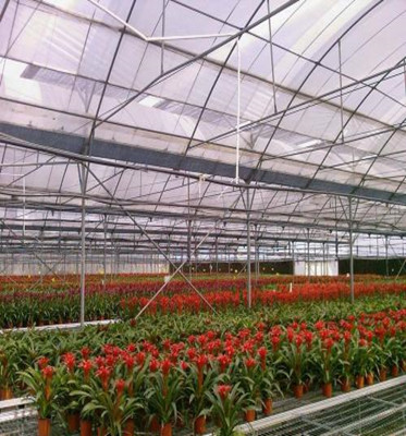 Plastic film retractable greenhouse cover woven pe film roller,Solarig classic woven,uv treated plastic greenhouse cover