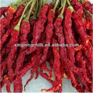 Good Taste Dried Chili De Arbol Mild Dried Red Chilies SHU 5000