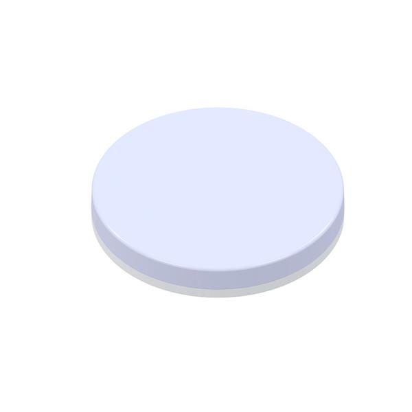 Buy 50HZ IP54 LED Round Emergency Bulkhead Light Practical Moistureproof at wholesale prices