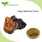 China Natural Chaga Mushroom Extract Powder Brown Kosher Certified for sale