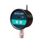 PPM-T9101 Wireless Pressure Sensor with LCD Screen