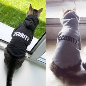 Quality Eco Friendly Cute Cat Hoodie , Warm Pet Costumes For Small Dogs for sale