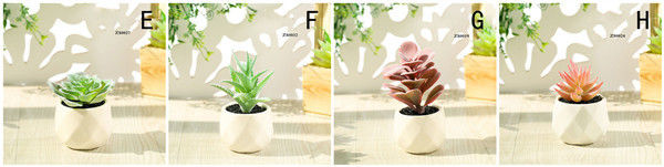 Mini Succulent Artificial Potted Plants Strange Shape Green Platsic Material