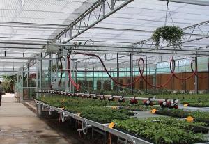 Customized Greenhouse Drip Irrigation System Manually Or Automatically Operated