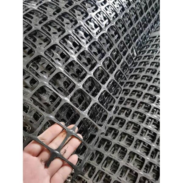 Highway Maintenance Black and White Grass Net Mat with Stable Biaxial Plastic Geogrid