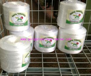 China PP Irrigation UV Stabilisation Tomato Tying Garden Twine Water Resistant on sale