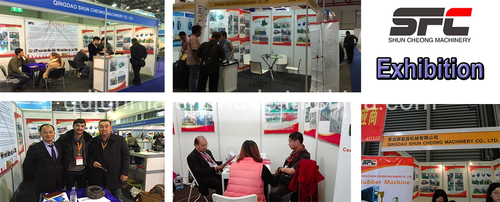 Hot Technology CE Rubber Moulding Machine with Push Pull System