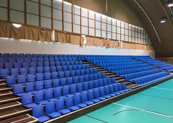Retractable Stadium Seating Telescopic Bleacher Seat with Folding Back