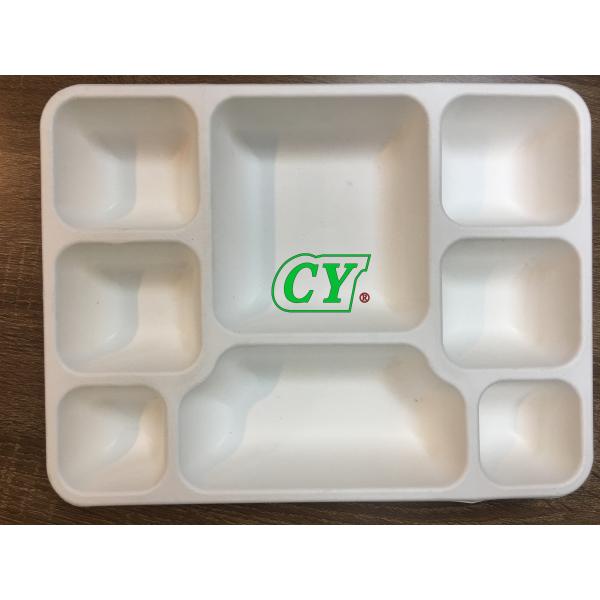 PLC Paper Pulp Molding Machinery Manual Compostable Sugarcane Tray Dry In Mold Wet Press Machine