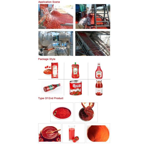 Tomato Jam Vegetable Processing Line High Efficiency 2.2kw Power CE Certification