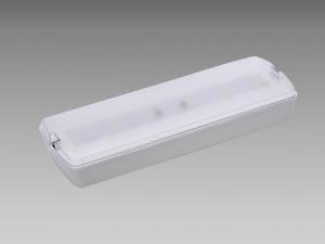 Quality IP42 Waterproof Emergency Light Fixture ABS Recessed Surface Wall Recessed for sale