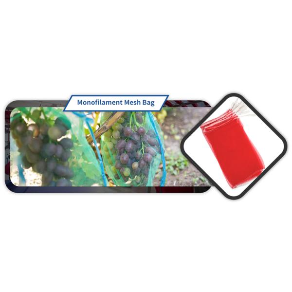 53*94cm Non Woven Mesh Net Bag for Mango Fruit Protection in Industrial Agriculture