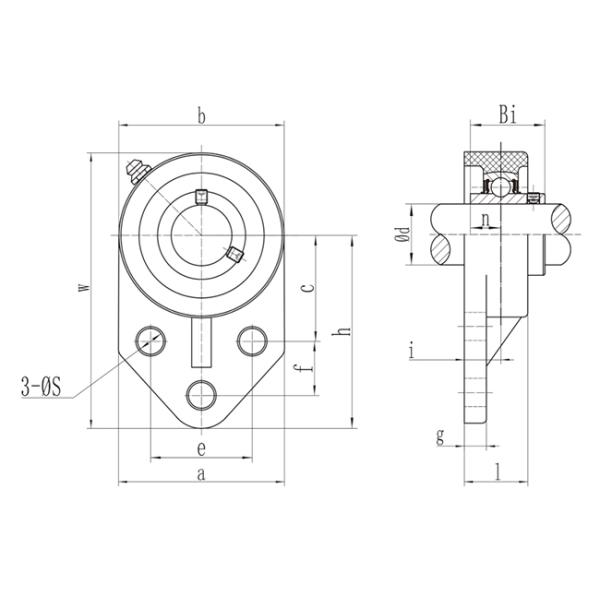 Thermoplastic Bearing Unit Stainless Steel Insert Ball Bearing 3 Bolt Flange SS UCFBPL203