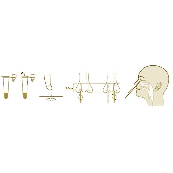 SARS-CoV-2 Ag Swab Test Kit 10 Tests/Kit CE For Nasal Sensitivity 98.84%