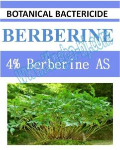 Quality 4% Berberine AS, biopesticide, organic bactericide, botanic, natural for sale