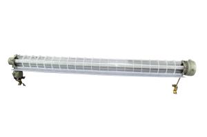 Quality Ex Db Eb IIC T6 Gb/Ex Tb IIIC T80C Db 600mm Explosion Proof Fluorescent Light for Zone 1 2 Safety Class Ⅱ for sale