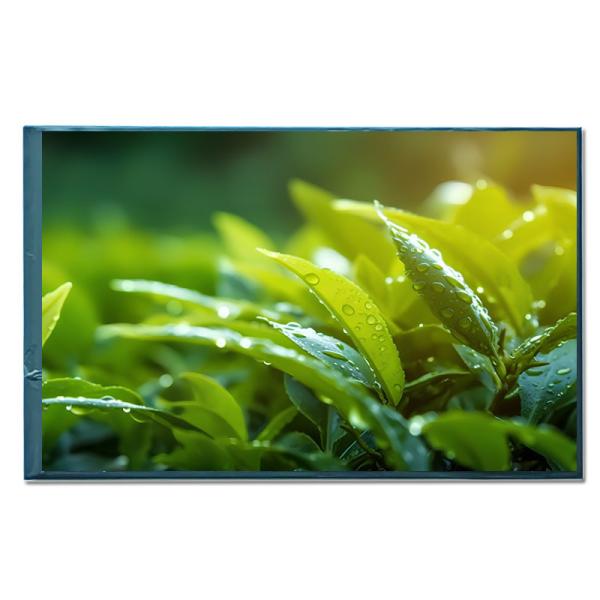 Buy IPS 8 Inch TFT LCD Monitor Module MIPI Interface Medical LCD Monitor at wholesale prices