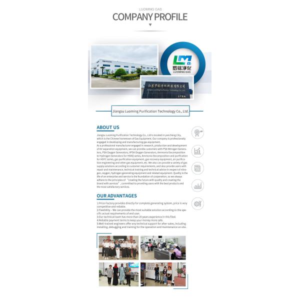 High-purity oxygen generator system