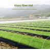 Buy cheap Lightweight Fiberglass FRP Rod For Agricultural Greenhouse Tunnel Support from wholesalers