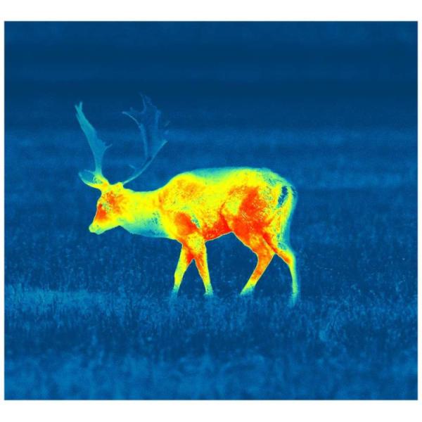 TR20 Thermal Imaging Gun Sight 384* 288 Ir Resolution And 35mm Focal Length